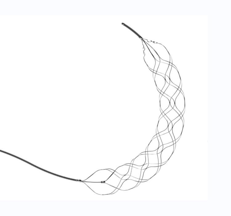 revascularization Device